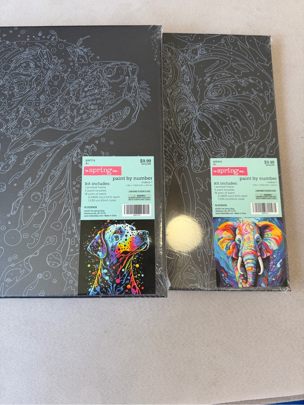 2 Paint by Number Canvases - Colorful Dog & Elephant Set